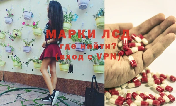 бошки Аркадак