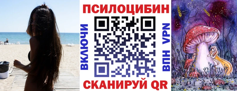 Псилоцибиновые грибы мицелий  где продают   Барыш 
